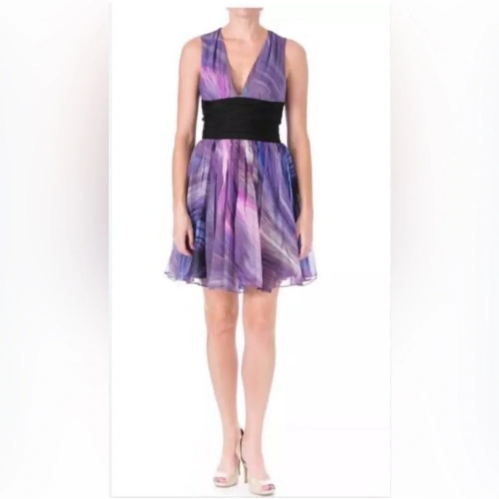 Elizabeth and James Purple Jana Silk Cocktail Dress